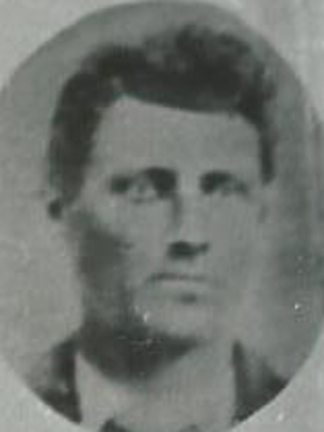 William Madison Wall Jr. (1847 - 1926) Profile